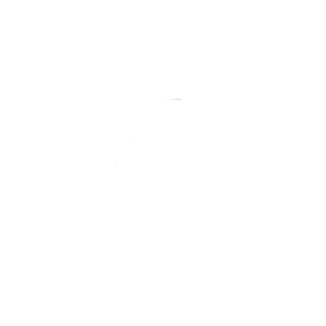 Viral Page
